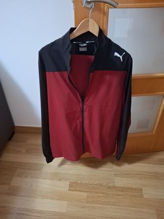 Chándal Puma Training M