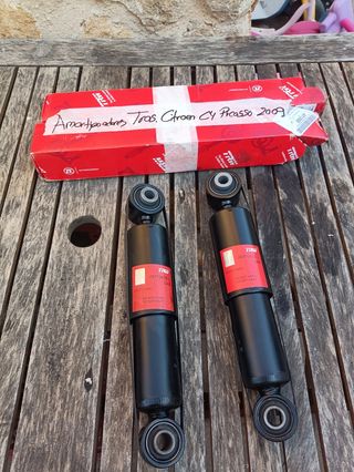 Amortiguadores Traseros Citroën C4 Picasso 2009
