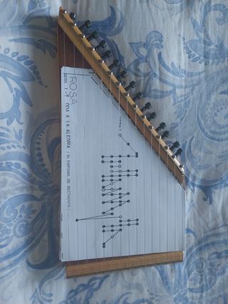 Cítara Instrumento Musical