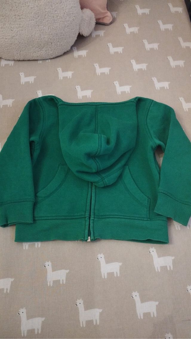 Sudaderas niño - 5 piezas