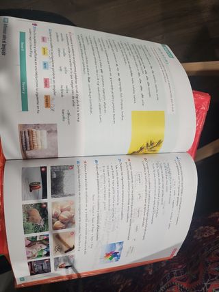 LENGUA CASTELLANA Y LITERATURA 5 TRIM (CZ)