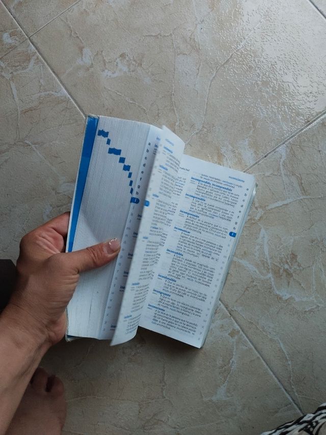 Diccionario de Primaria (Spanish and English Ed...