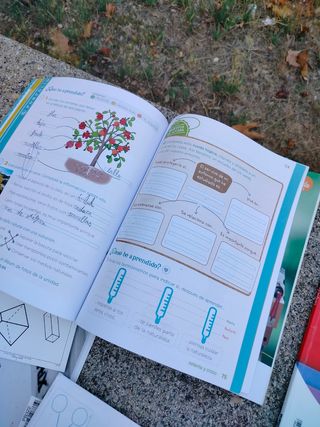 Libros Primaria 2° y 3°

