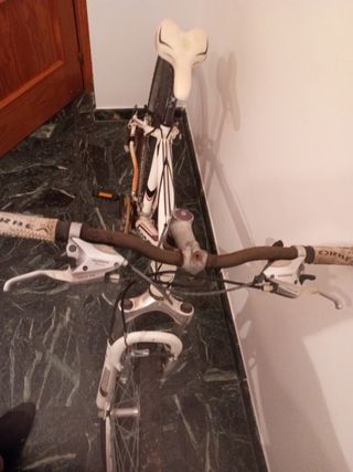 Bicicleta Orbea montaña