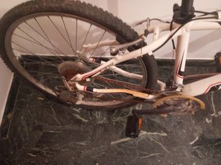Bicicleta Orbea montaña
