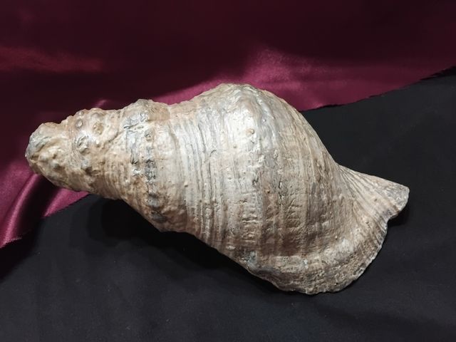 Jarra cristal & caracola vintage