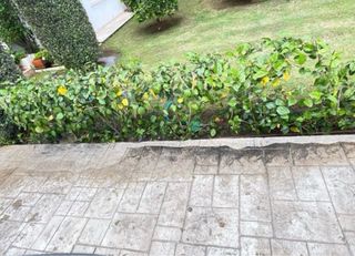 Limpieza tapicerías y terrazas a alta presion