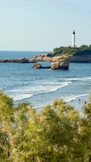 La isla del tesoro 