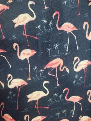 Camisa flamencos slim fit - Manga larga