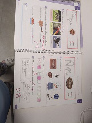 Revoa. Lingua e literatura. 1°Primaria