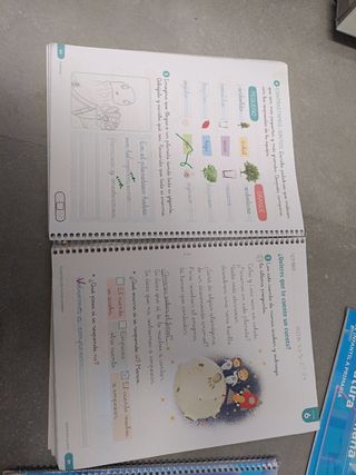 Libros lengua castellana y literatura