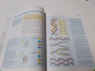 Ciències per al món contemporani 1r Batxillerat.