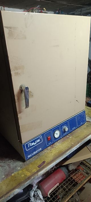 Incubadora/Estufa Raypa