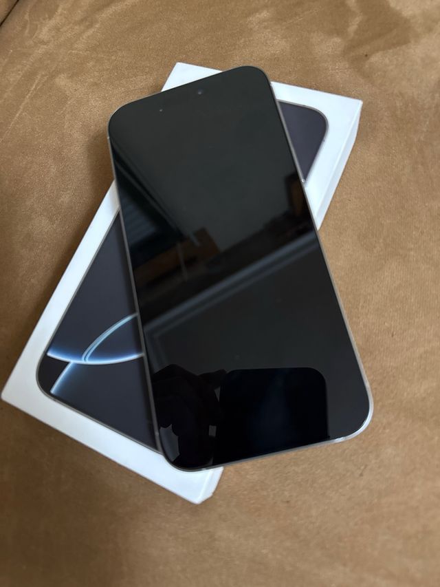 iPhone 16 Pro Max 256 GB argento