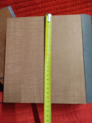 Altavoces Sony - Marrón y Gris