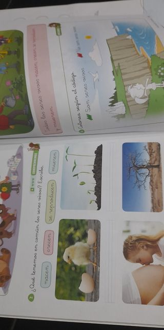 Ciencias de la naturaleza. 1 Primaria. Más Savi...