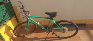 Bicicleta montaña vintage
