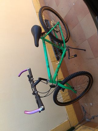 Bicicleta montaña vintage