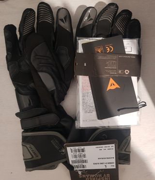 Guantes Dainese Carbon 1 L