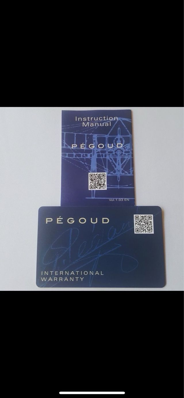 Orologio meccanico Pégoud DES AILES