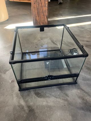 Terrario de cristal - Acuario