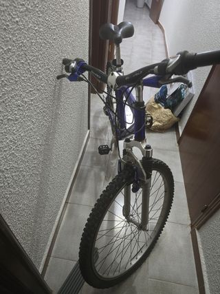 Bicicleta montaña azul