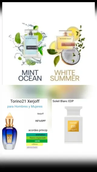 Yodeyma Perfumes Nuevos 2025