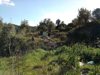 Terreno en venta en Son Servera