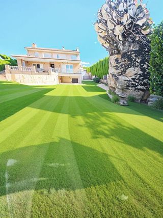 Chalet en venta en Alpicat