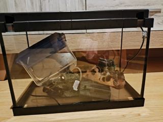 Acuario 20L -pecera pequeña