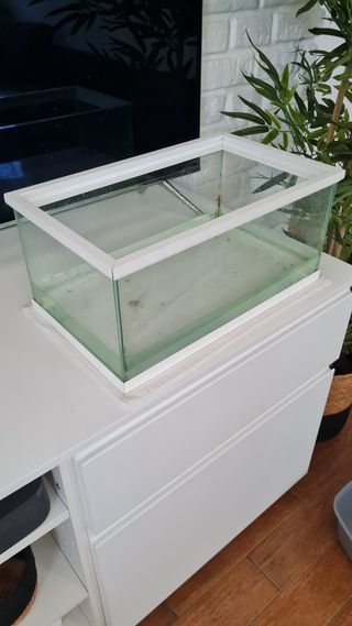 Pecera cristal 26x44x20cm - Acuario, para recoger