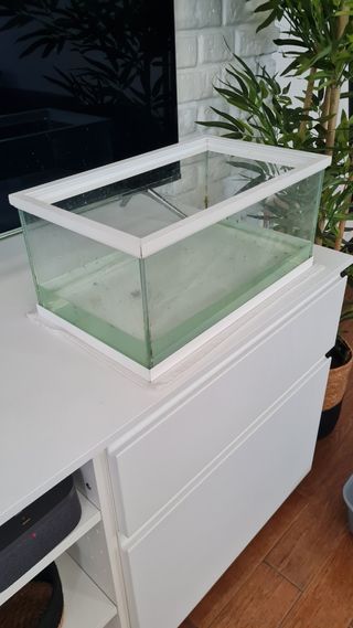 Pecera cristal 26x44x20cm - Acuario, para recoger