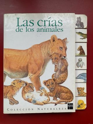 Colección Naturaleza SM – 4 libros infantiles