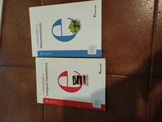 Lote Dos libros de texto de matemáticas y lengua 