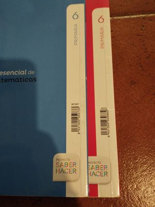 Lote Dos libros de texto de matemáticas y lengua 