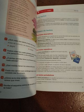 Lote Dos libros de texto de matemáticas y lengua 