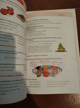 Lote Dos libros de texto de matemáticas y lengua 