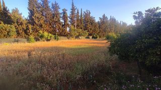 Casa rural en venta en Calahonda en Mijas