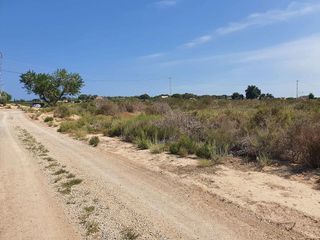 Terreno en venta en Centro en Elche