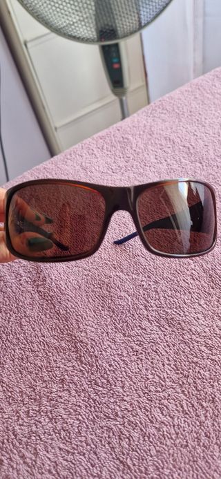 Occhiali da sole Cavalli blu e marrone