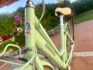 Bicicleta eléctrica Adriatica seminueva