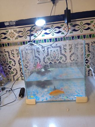 Acuario pequeño con filtro y luz