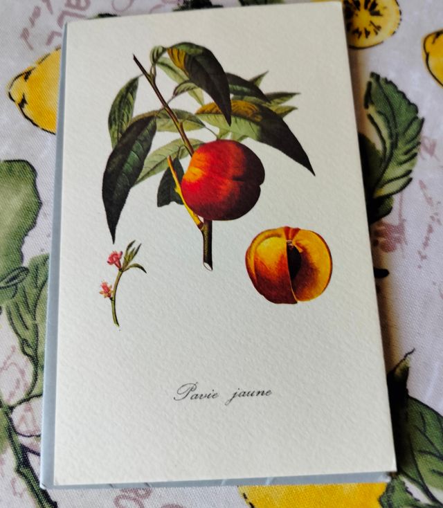 6 Stampe Vintage Frutta - Reader's Digest