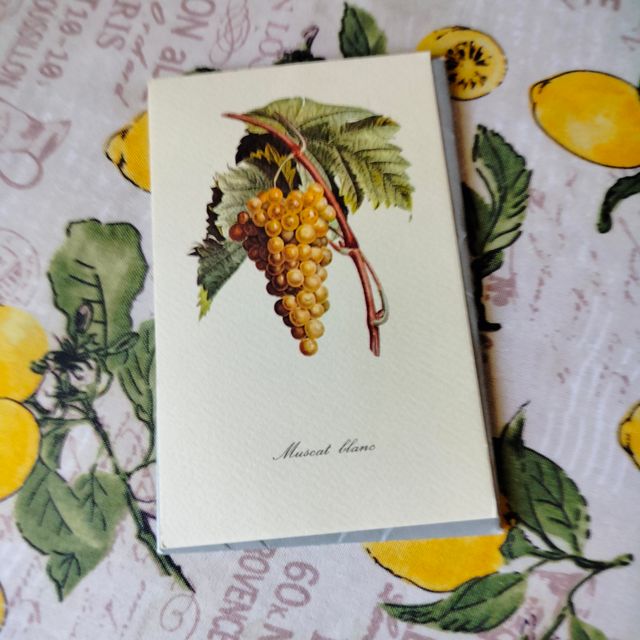 6 Stampe Vintage Frutta - Reader's Digest