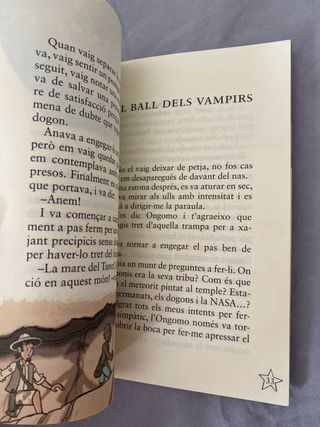 El misteri del metorit