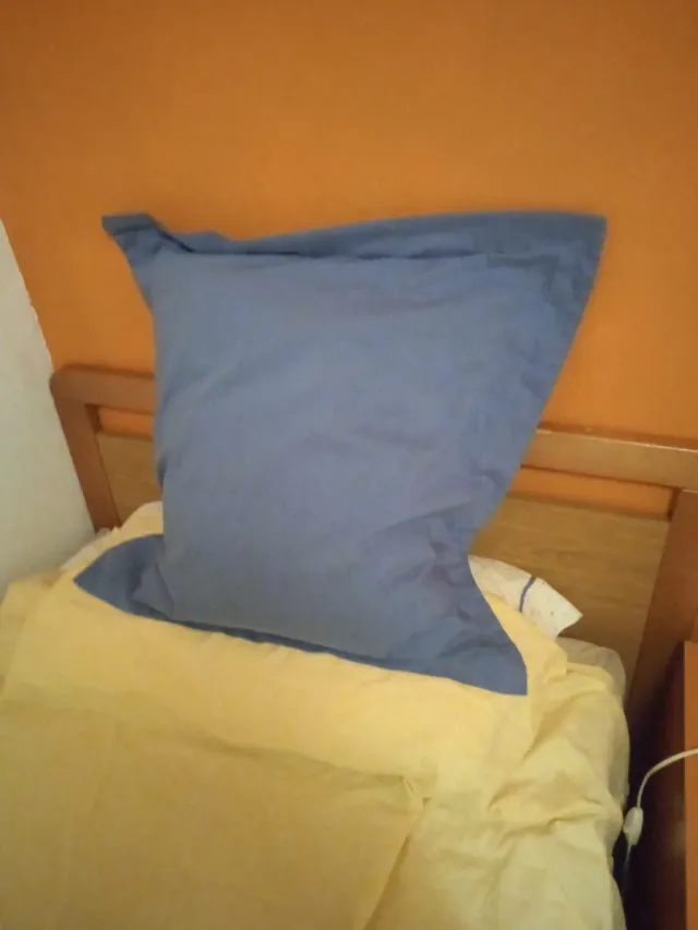 3 cuscini-cuscini X 10€