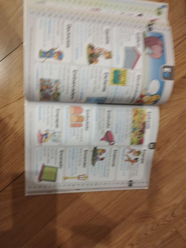 MI PRIMER GRAN DICCIONARIO / PD.