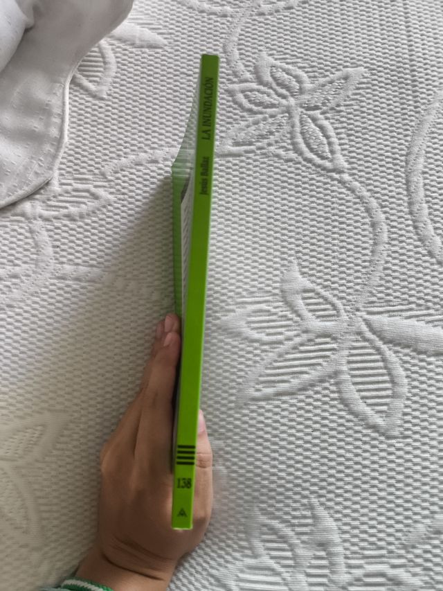 La inundación (Cuentos, Mitos Y Libros-regalo) ...