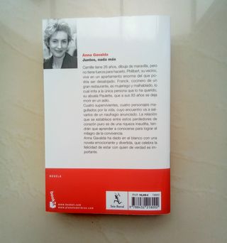 Novela "Juntos, nada más"