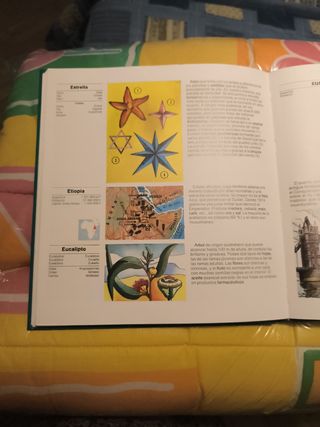 Colección Gran Diccionario Infantil Marín